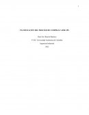 Planificación del proceso de compras Cayre IPS