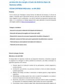 Bioenergía – Análisis de innovaciones en la producción de energía a través de distintos tipos de biomasa sólida