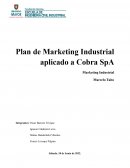 Plan de Marketing Industrial aplicado a Cobra SpA . Marketing Industrial