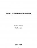 Notas derecho familia