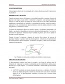 Bioquímica.Metabolismo de Carbohidratos. Gluconeogenesis