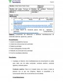 Técnicas de negociación y manejo de conflictos