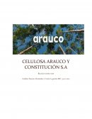 Celulosa Arauco y Constitución S.A