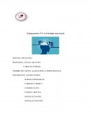 Trabajo práctico N°1: La Psicología como ciencia