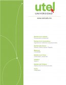 Creatividad y desarrollo