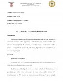 La historia en el Ecuador del siglo XX