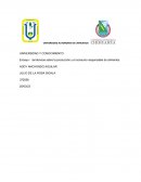 Tendencias sobre la producción y el consumo responsable de alimentos