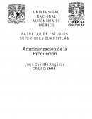 Caso servicio a domicilio "Chinito Veloz”