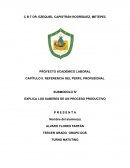 Proyecto académico laboral