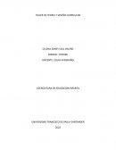 Teoria y diseño curricular