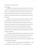 Unidad Didáctica: “La peluquería de Luciano”