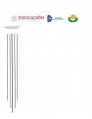 Propiedades eléctricas, magnéticas y térmicas