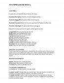 Anatomia quirurgica