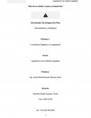 Los Medios Digitales y la Legislación