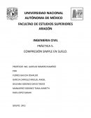 Práctica 5. Compresión simple en suelo.