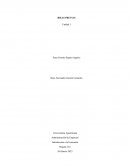 Introducción a la Economía