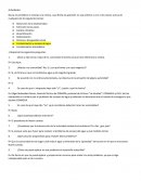 Calentamiento Global.Actividades