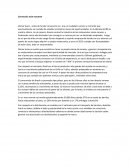 Cerveceria Noin resumen