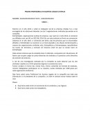 Caso legal empresa Litoplas S.A
