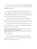 Acción social. Conceptos sociológicos fundamentales