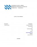 Ensayo textos académicos