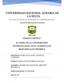 El papel de la cooperación internacional en el aumento de resiliencia económica