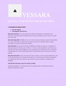 Idea de negocio online YESSARA