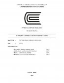 Auditoría comercial básica Textil Camilo