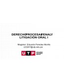 Derecho procesal penal. Litigación oral