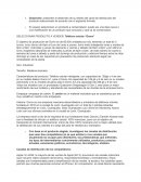 Canales de distribuccion