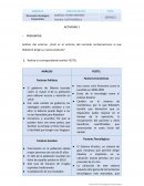 Análisis del entorno. ¿Cuál es el entorno del mercado norteamericano al que Robotech dirige su nuevo producto?