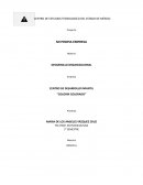 Proyecto Mi propia empresa