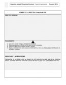 Práctica: Extracción de DNA