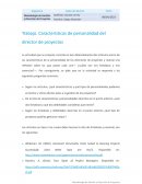 Trabajo. Características de personalidad del director de proyectos