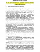 Trabajo práctico N°1: El proceso de socialización en el nivel primario