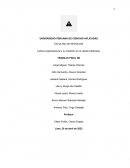 Cultura organizacional y su medición en el capital intelectual