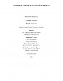 Seguridad alimentaria