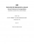 4 fundamentos de la ética