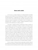 Ensayo camello sarathustra