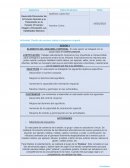 Actividad: Diseño de sesiones sobre el esquema corporal