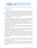 Dirección Estratégica Corporativa. RoboTech: Irrupción en el mercado de E.E.U.U