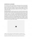 Descripcion de las emisiones