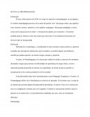 Qué es la ortopedagogía