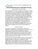 Ensayo sobre 4 lecciones sobre las características de la sociedad actual