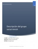 Descripción del grupo social Amish
