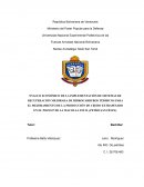 Proyecto socio productivo de evaluacion e implementacion de RMH en pozos petroleros a nivel faja