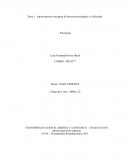 Tarea 1 - Aproximación conceptual al bienestar psicológico y la felicidad