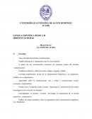 Practica de Español II