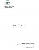 El búho de Minerva de Rafael Echeverría: Análisis de la evolución del pensamiento filosófico