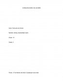 Corazon diario de un niño